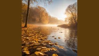 Calm River Reflections