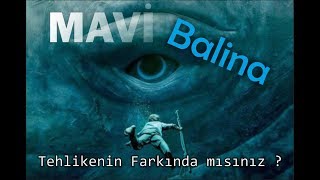 Mavi Balina Tehlikenin Farkında Mısınız ?