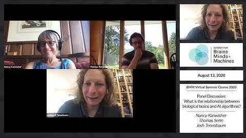 Panel Discussion: What is the relationship between biological brains and AI algorithms?