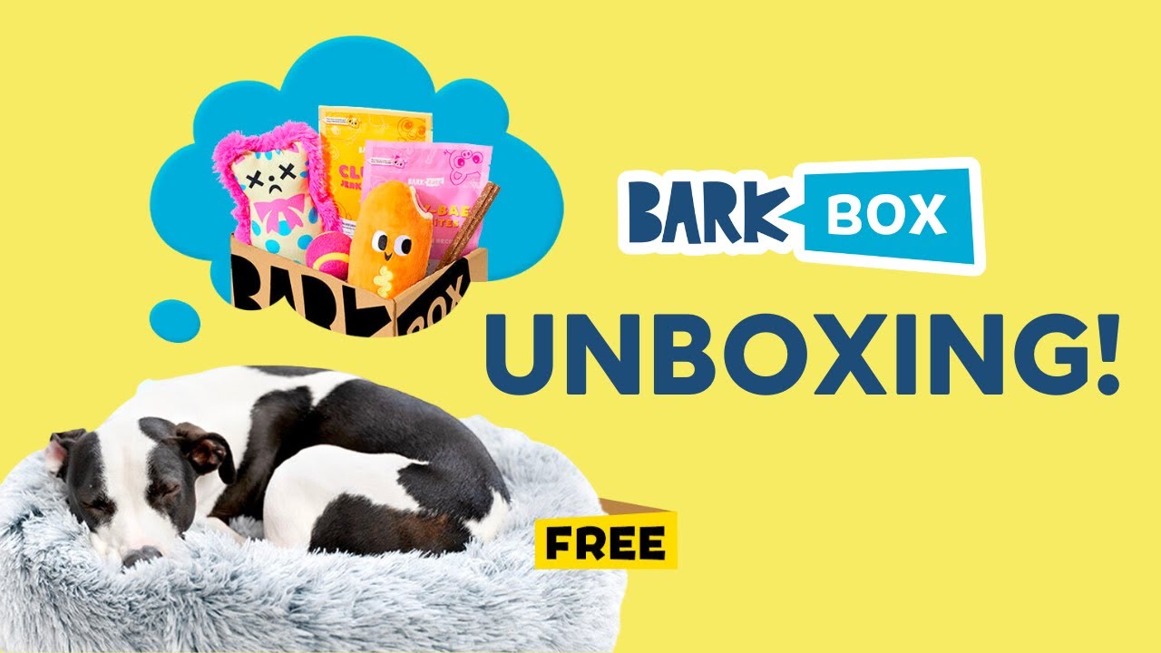 BARKBOX UNBOXING June 2023 Theme YouTube