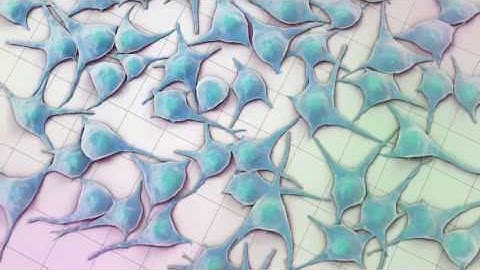 Cellular Reprogramming Animation