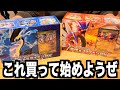 スターターデッキ ビルドセット 古代のコライドンex 未来のミライドンex 開けちゃうぜ ポケモンカード スターターデッキ ビルドセット 古代のコライドンex 未来のミライドンex 開けちゃうぜ ポケモンカード