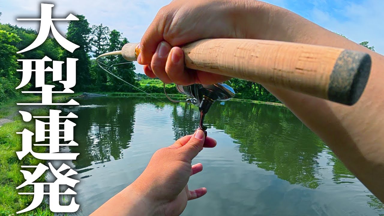 【穴場】大物天国の噂は本物でした...。この管理釣り場は