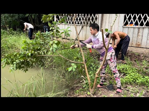 Video Bán Sạch Sẽ Những Bông Giấy Còn Sót Lại Trong Vườn - youtube