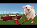 How To LIVE INSIDE a MOUSE FARM in Minecraft PE