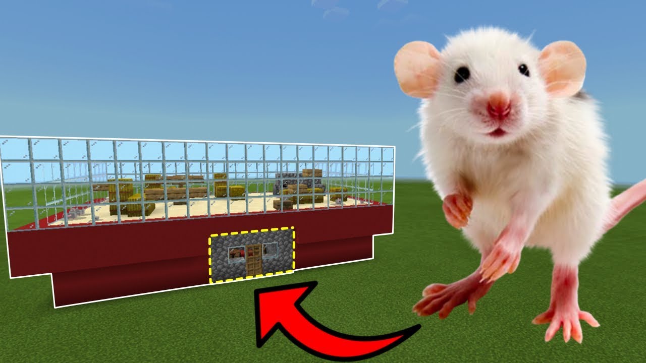 MCPE How To Live Inside a Mouse Farm YouTube