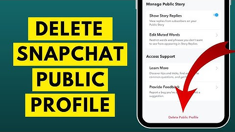 How to Delete Your Public Profile on Snapchat in 2023 | Delete Snaphcat Public Profile