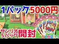 【激レア】1パック5000円以上のサンリオカード開封！あつ森発売までにコンプするぞ！【あつまれどうぶつの森】