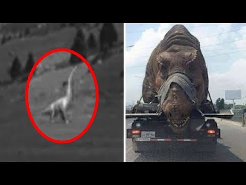 5 Dinosaurs Caught on Camera & Spotted in Real Life