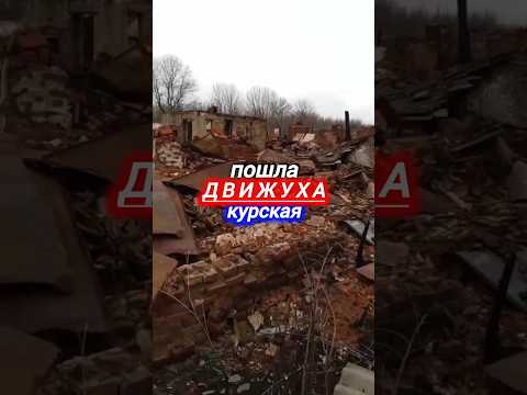 ДВИЖУХА ПРИШЛА ПОД КУРСК #новости #украина #сегодня #вести #россия #сми #рф #тв #путин #всу #shorts
