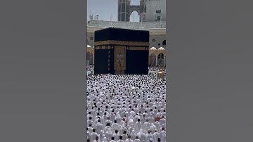 ﴿وَإِذا جاءَكَ الَّذينَ يُؤمِنونَ بِآياتِنا فَقُل سَلامٌ عَلَيكُم كَتَبَ رَبُّكُم