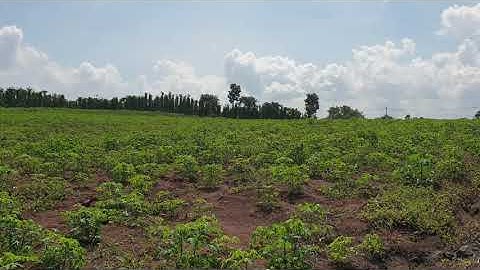 (Đã bán) NVT1004 Cần bán 2,88 hecta đất xã Bàu Lâm, Huyện Xuyên Mộc, Tỉnh Bà Rịa Vũng Tàu.