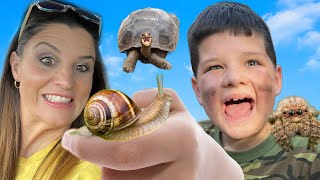 CALEB and MOMMY LOOK for Turtles and BUGS on our BACKYARD BUG HUNT! by Caleb Kids Show 1,021,151 views 1 month ago 11 minutes, 2 seconds