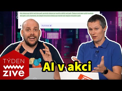 Video: Kolik inteligencí Gardner identifikuje?