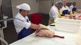 İnanılmaz Kaz Çiftliği Teknolojisi Et Ve Kaz Ciğeri Üretiyor Fabrikada Kaz Ciğeri Işleme