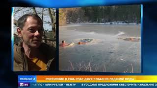 Спасший собак сибиряк стал кумиром американцев Спасший собак сибиряк стал кумиром американцев