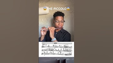 guess that excerpt 👀 #piccolo #flute #excerpt #musician