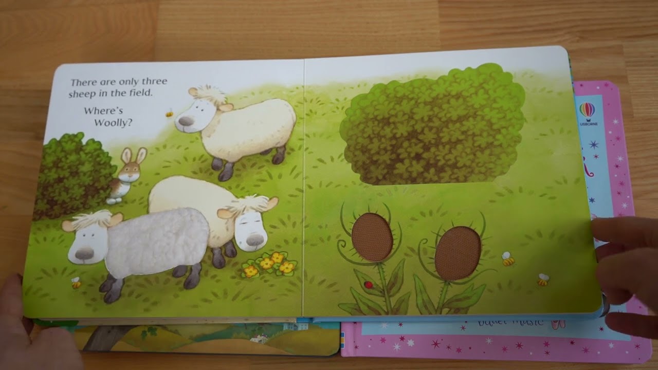 Usborne   Poppy and Sam Animal Hide and Seek