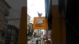 Cevriye nin halleri 🤗😄🙃🐈#cat #vlog #komedi #komikvideolar #sevimlihayvanlar