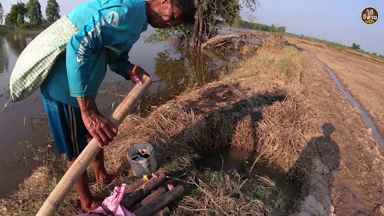 ทีเด็ด!! ใส่บั้งลันดักปลาไหล ด้วยเหยื่อสูตรนี้ได้ผลดีจริงๆ