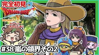 【完全初見】スライムちゃんと一緒のドラクエ10オンラインVer.3 # 38嵐の領界その2　※ネタバレあり【ねぐぅ/#Vtuber】概要欄確認お願いします！