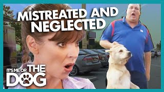 Victoria Shocked by Dog Being Mistreated and Neglected | It's Me or The Dog