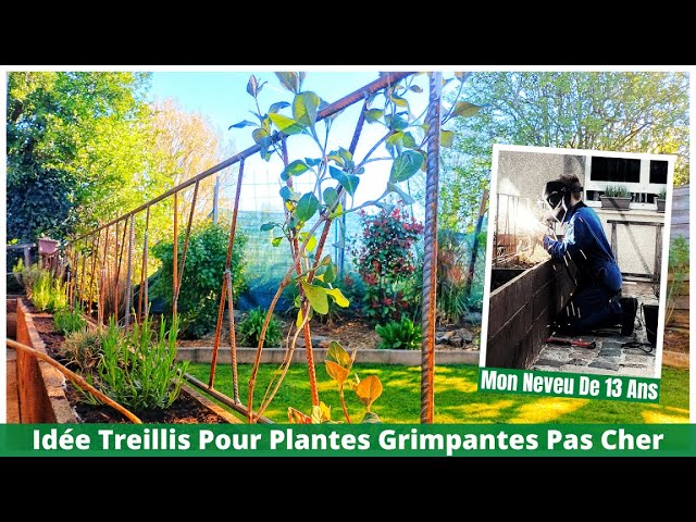 Idée Treillis Pour Plantes Grimpantes, Facile Et Pas Cher 