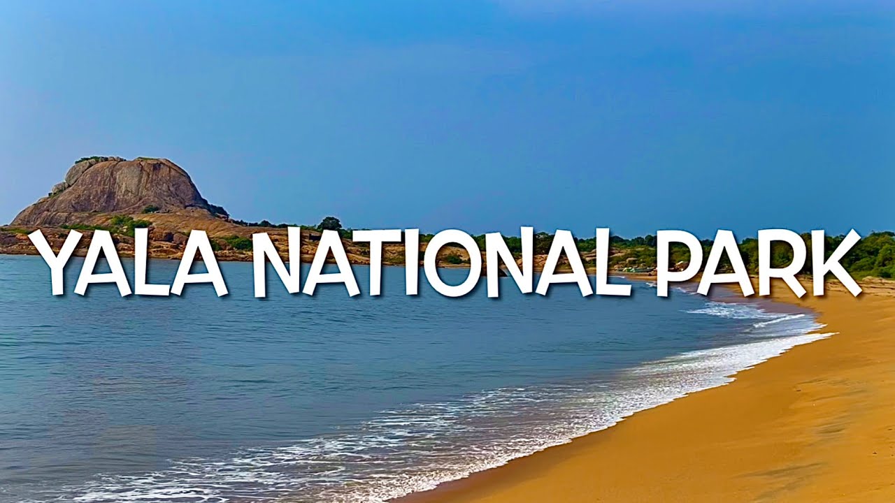YALA NATIONAL PARK SRI LANKA 4K 60fps