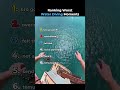 Ranking Worst Water Diving Moments