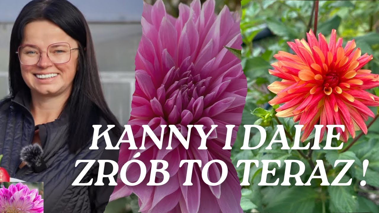 KANNY I DALIE ZRÓB TO TERAZ ! | Kasia in