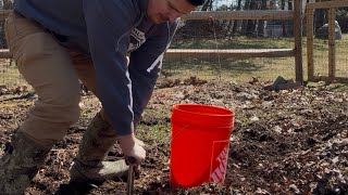 Ep 1 Giant pumpkin season 2026: How to soil sample! #giants #gardening #soil #outdoors #gardentips 