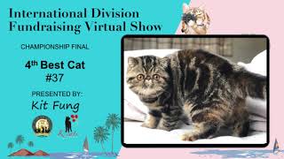 20200620 CFA ID Virtual Show Award Presentation by Kit Fung -  #2 Championship Final