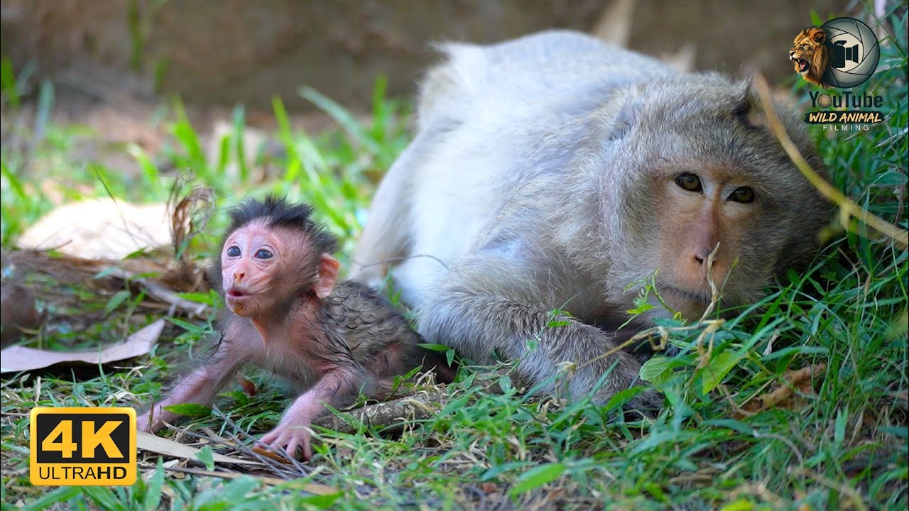 ELSA: An Old Mother Too Weak To Hold Her Newborn Infant | Full Documentary