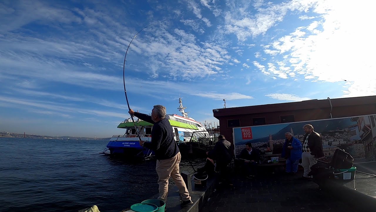 BOĞAZIN OLTA BALIKÇILARI [ BÖLÜM 2 ] USTALAR ANLATIYOR !!! BALIK AVI NASIL YAPILIR ?