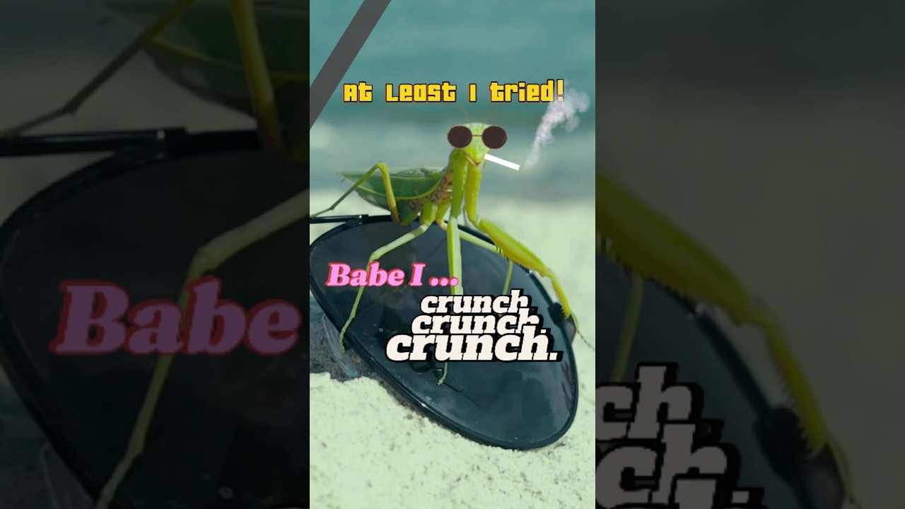 Die after mating! Kings of NO Happy End | Top 10 Romancers