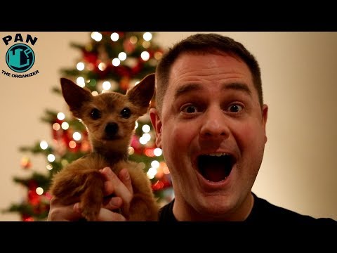 HAPPY HOLIDAYS AND HAPPY NEW YEAR 