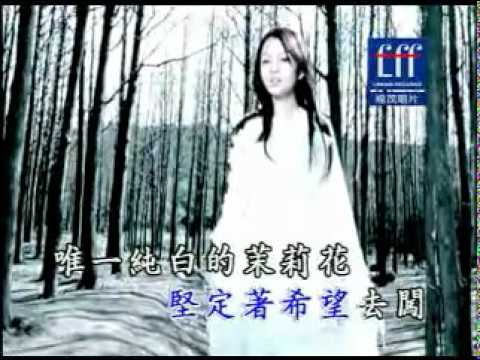 張韶涵-夢裡花.flv