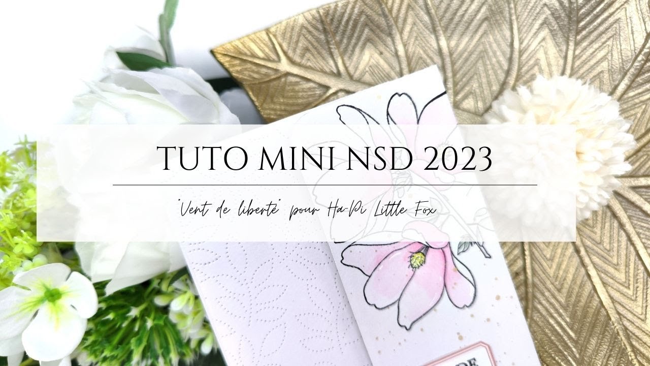 Mini NSD Tuto - YouTube