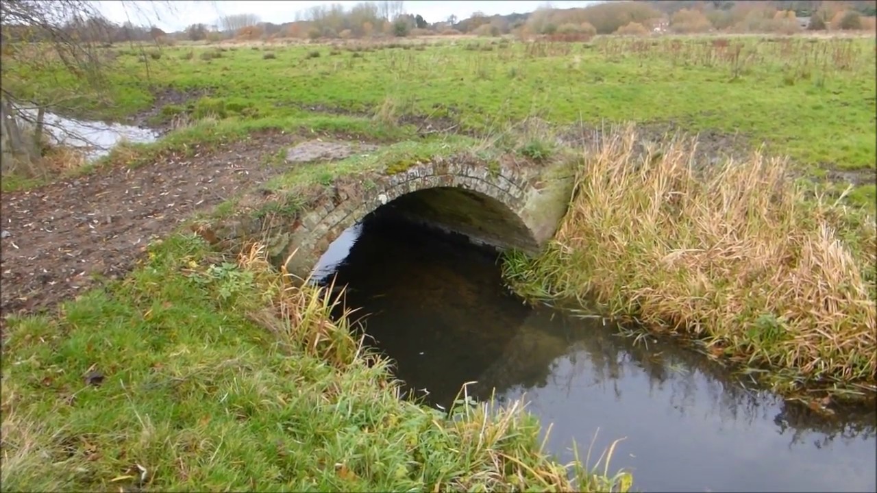 baker family walk ringland norfolk