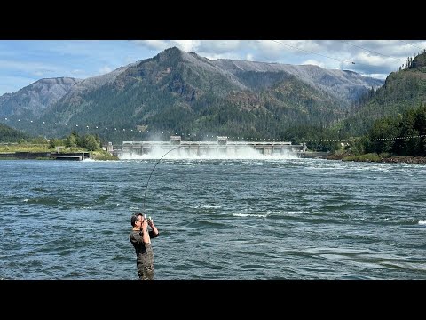 Bonneville Dam Washington