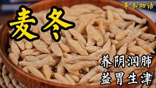 麦冬：秋冬润燥的“天然饮水机”？带你揭秘麦冬的3大功效 麦冬是一种滋阴润燥的常用中药，既能滋养阴液补充津液来润养肺部和胃部 ｜ 草本物语 ｜ #中药 #草药 #中医