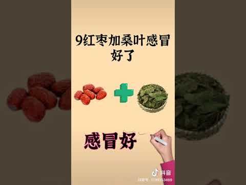 Hong Zhao (Chinese Red Dates) 10 Combination with Other Herbs - YouTube