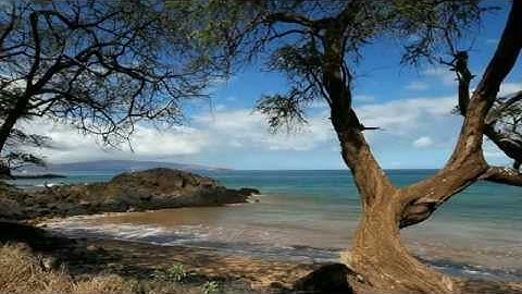 تلاوة خاشعة 2