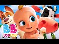 Animaux chanteurs  chansons ducatives pour enfants  bb loulou