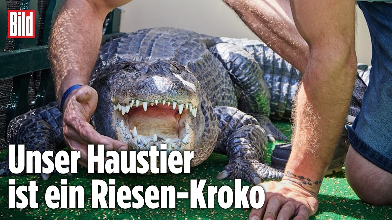 Alligator-Dame Frau Meyer (44) lebt bei Familie Kaulis im Garten
