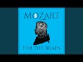 Miniature de la vidéo de la chanson Symphony No. 40 In G Minor, K 550: I. Molto Allegro