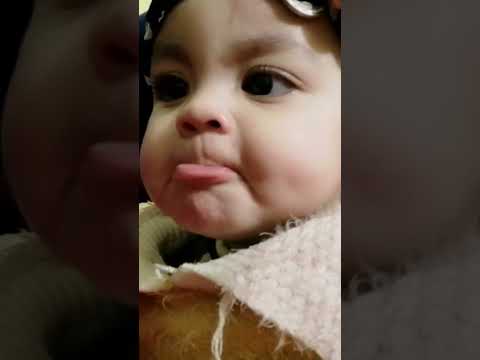 عسل سكر انت