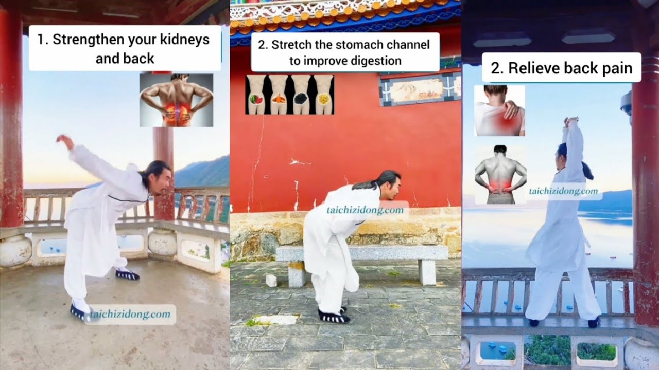 Stretch the stomach channel to improve digestion | Strength kidneys | Wudang Zidong