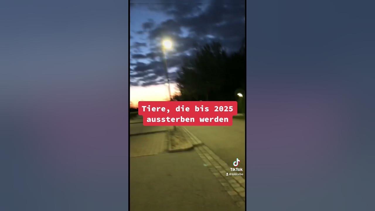 Tiere die bis 2025 aussterben werden YouTube
