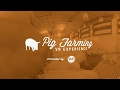 Pig Farming VR Experience: See inside a real pig barn